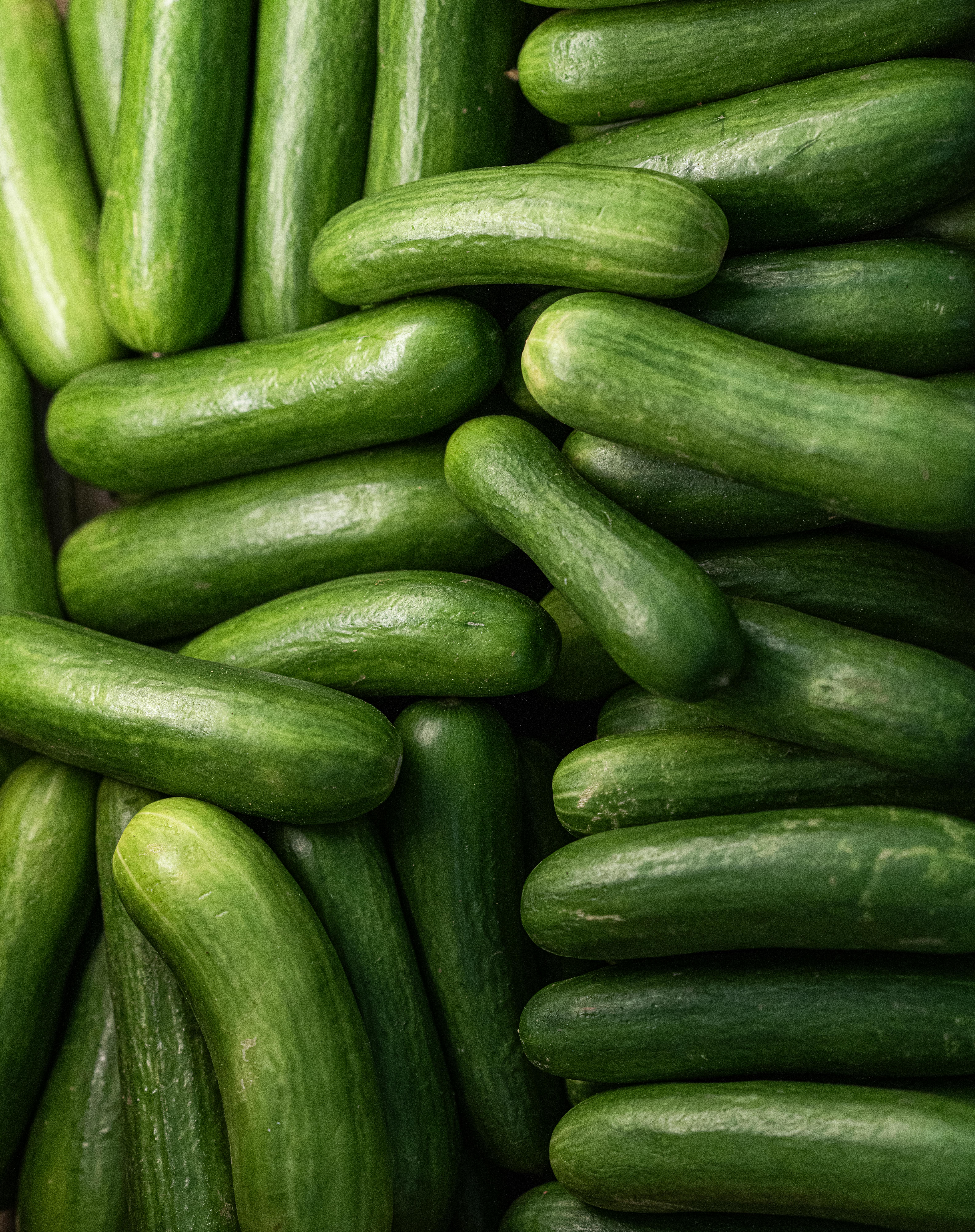Cucumber Image